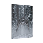 Great Grey Owl Winter Flight Wall Art & Canvas Print