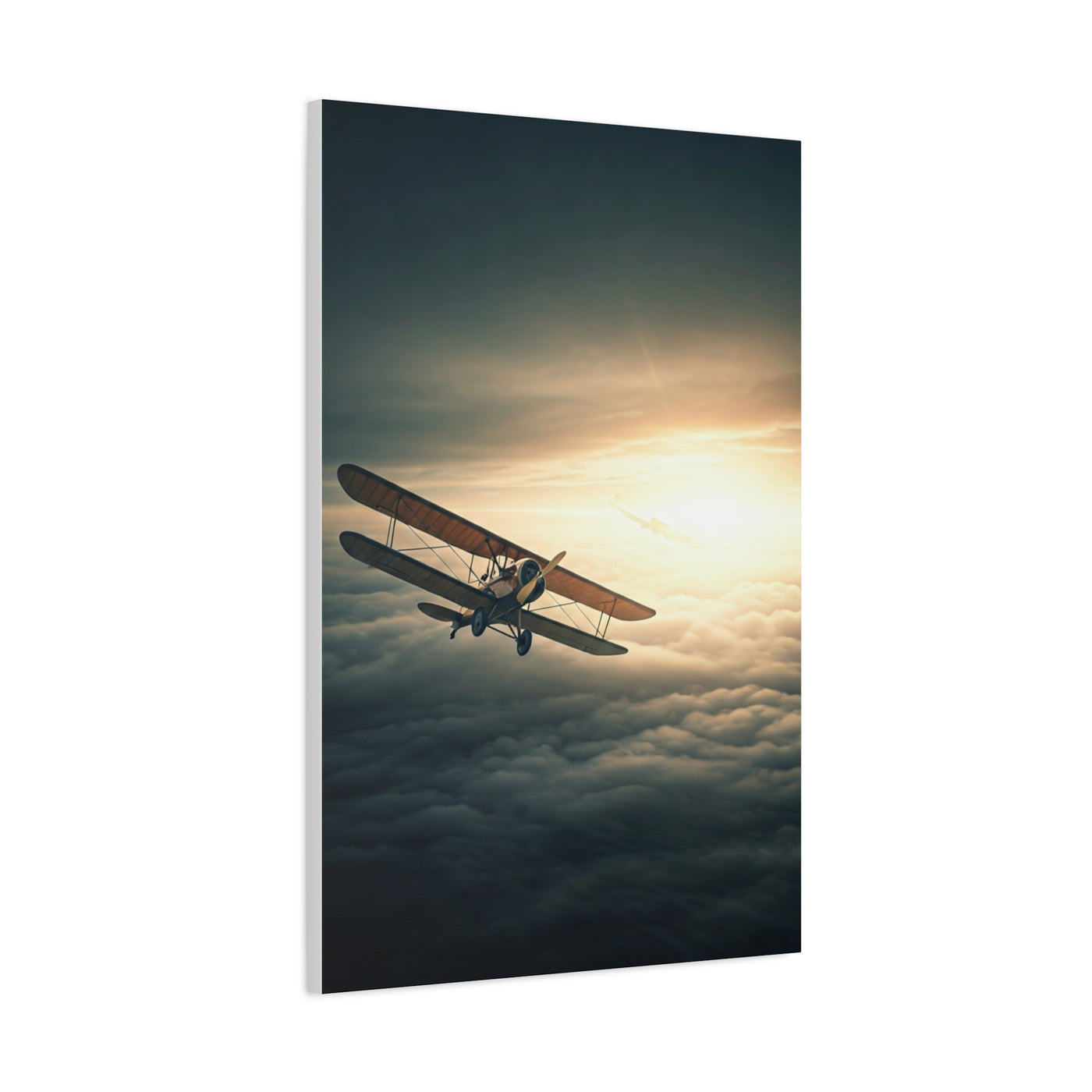 Vintage Biplane Into the Light Wall Art & Canvas Prints
