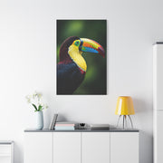 Toucan with Vibrant Yellow Beak Wall Art & Canvas Prints