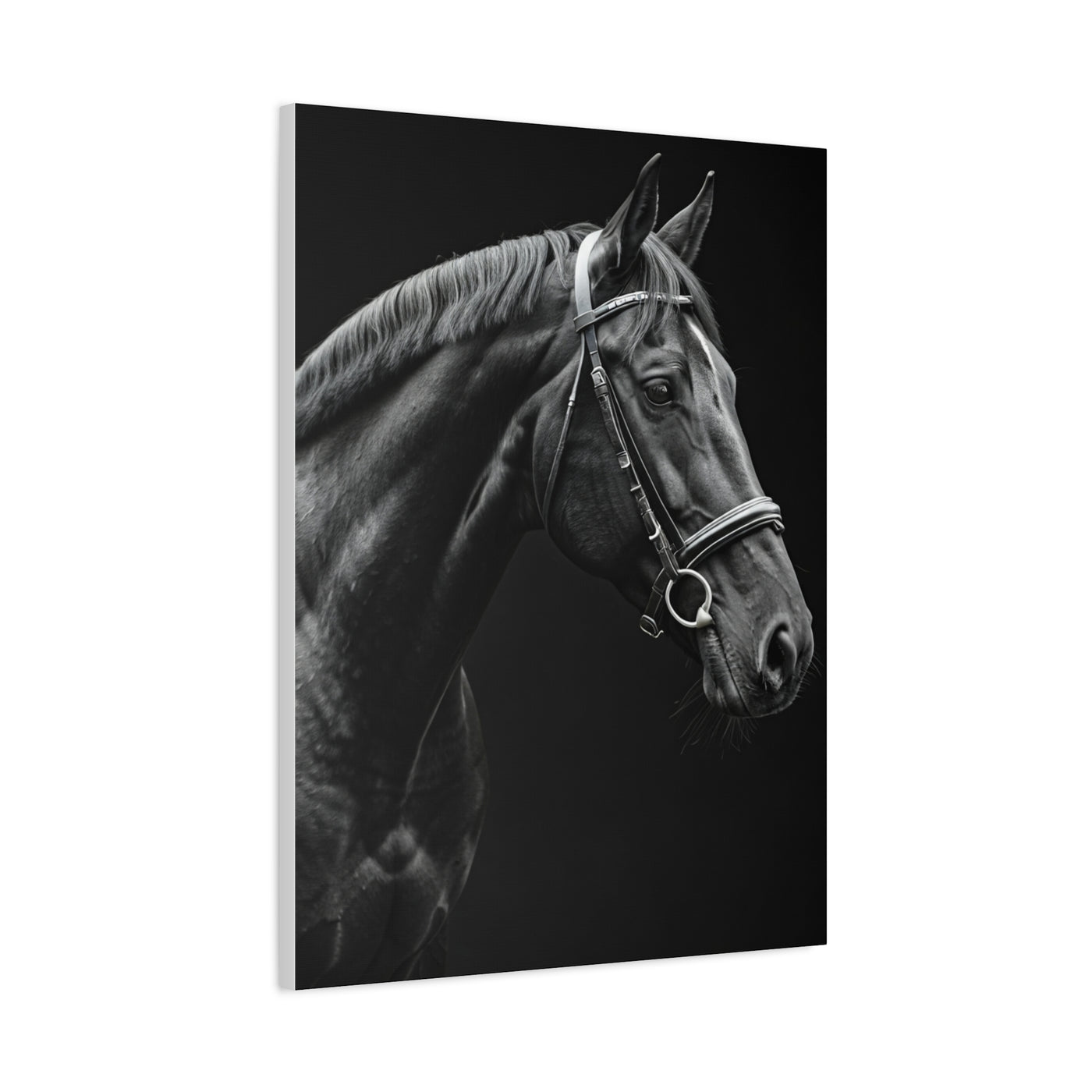 Elegant Black Stallion Profile Wall Art & Canvas Prints