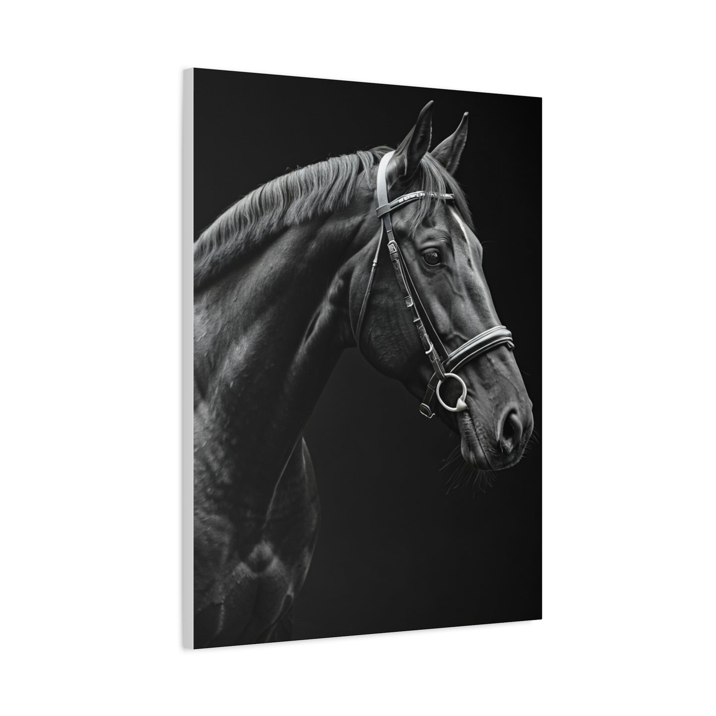 Elegant Black Stallion Profile Wall Art & Canvas Prints