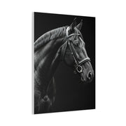 Elegant Black Stallion Profile Wall Art & Canvas Prints