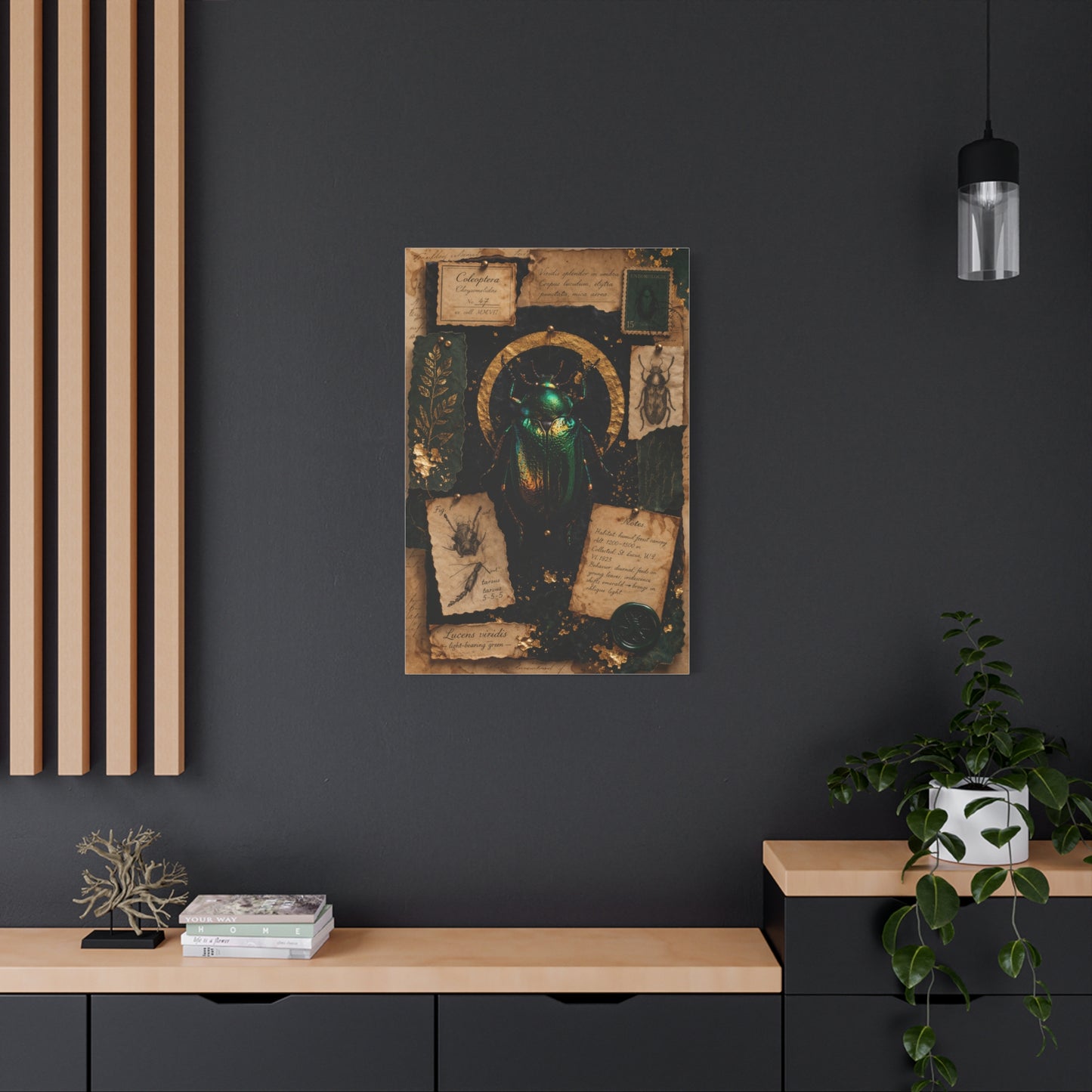 Cabinet of Curiosities Insect Study Wall Art & Canvas Print