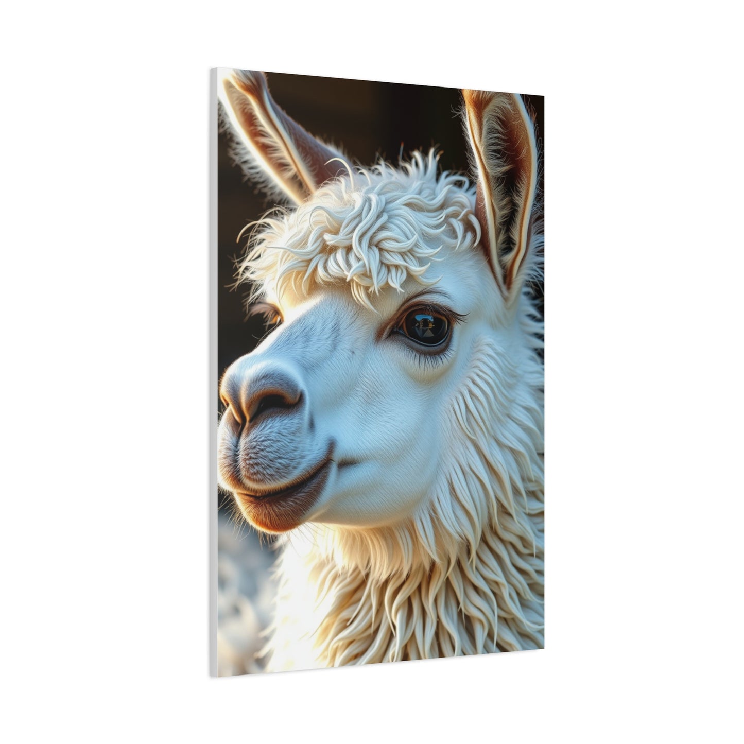 Llama & Alpaca Art Luxury Canvas Wall Art & Canvas Print