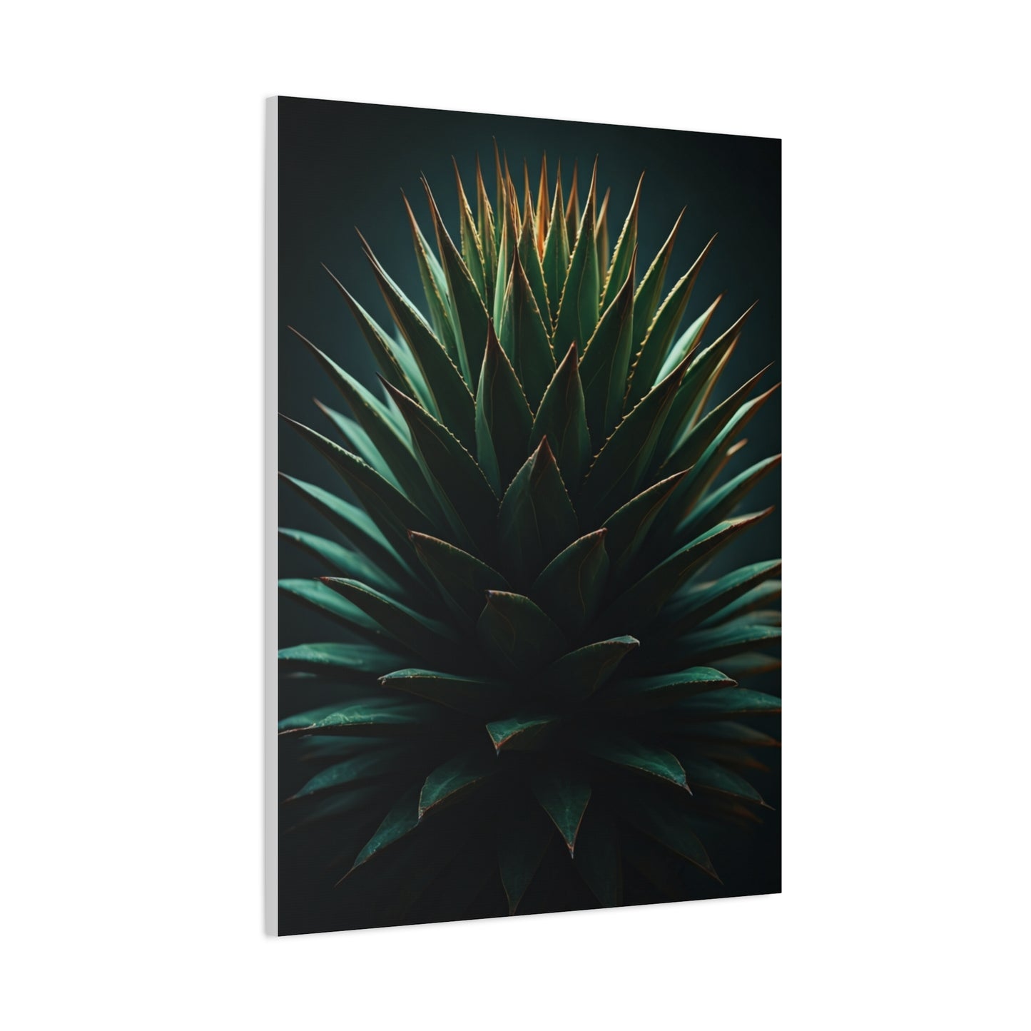 Desert Radiance Agave Sculpture Wall Art & Canvas Prints