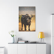 Powerful Buffalo Staring Forward Wall Art & Canvas Prints