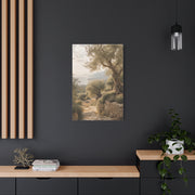 Olive Grove Coastal Serenity Wall Art & Canvas Print