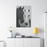 Intimate Dual Horse Monochrome Wall Art & Canvas Print