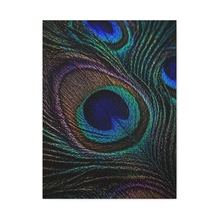 Macro Iridescent Peacock Feather Wall Art & Canvas Print