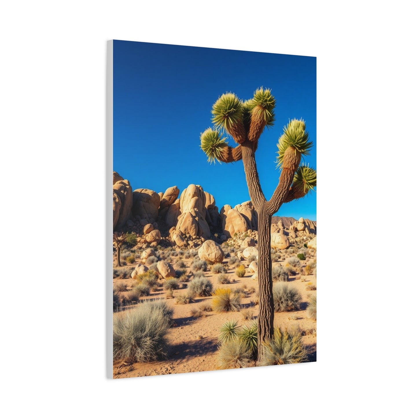 Joshua Tree National Park Art Luxury Canvas Wall Art & Canvas Print