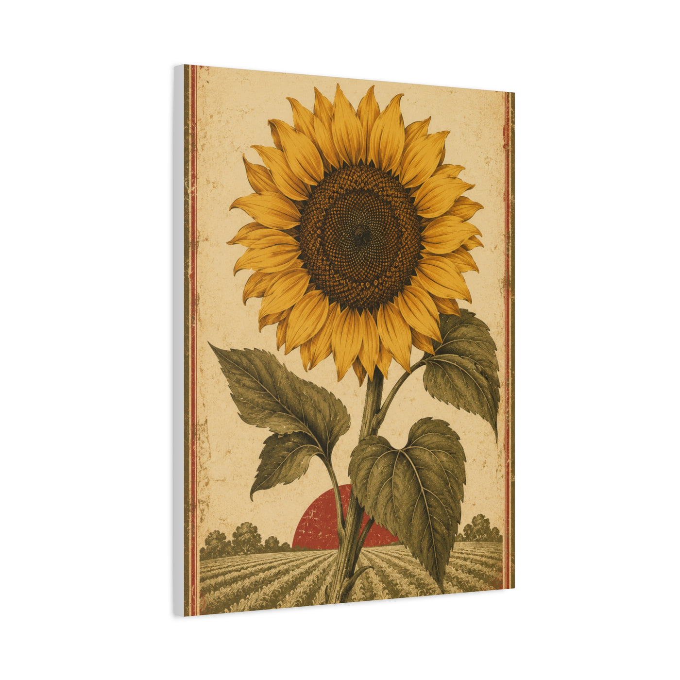Heritage Field Sunflower Illustration Wall Art & Canvas Print