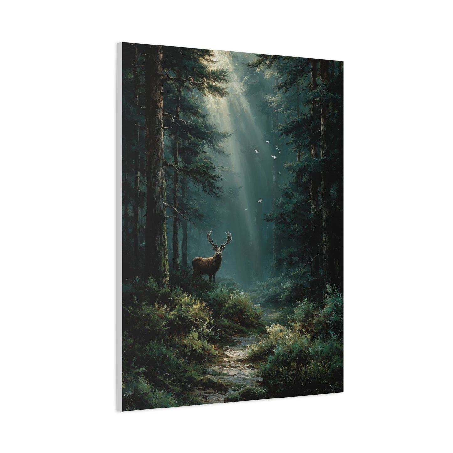 Sunlit Evergreen Forest Stag Wall Art & Canvas Print