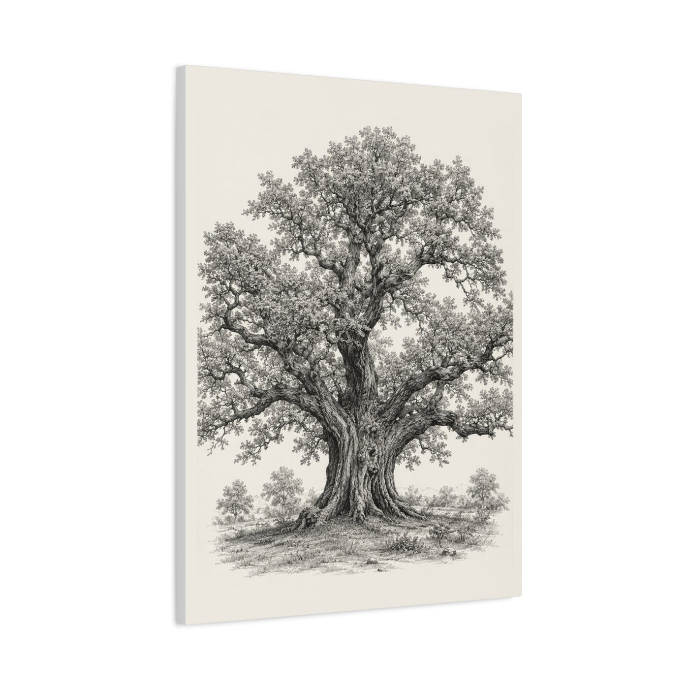 Detailed Engraved Oak Study Trees Wall Art & Canvas Print
