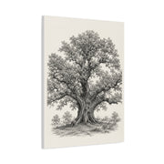 Detailed Engraved Oak Study Trees Wall Art & Canvas Print