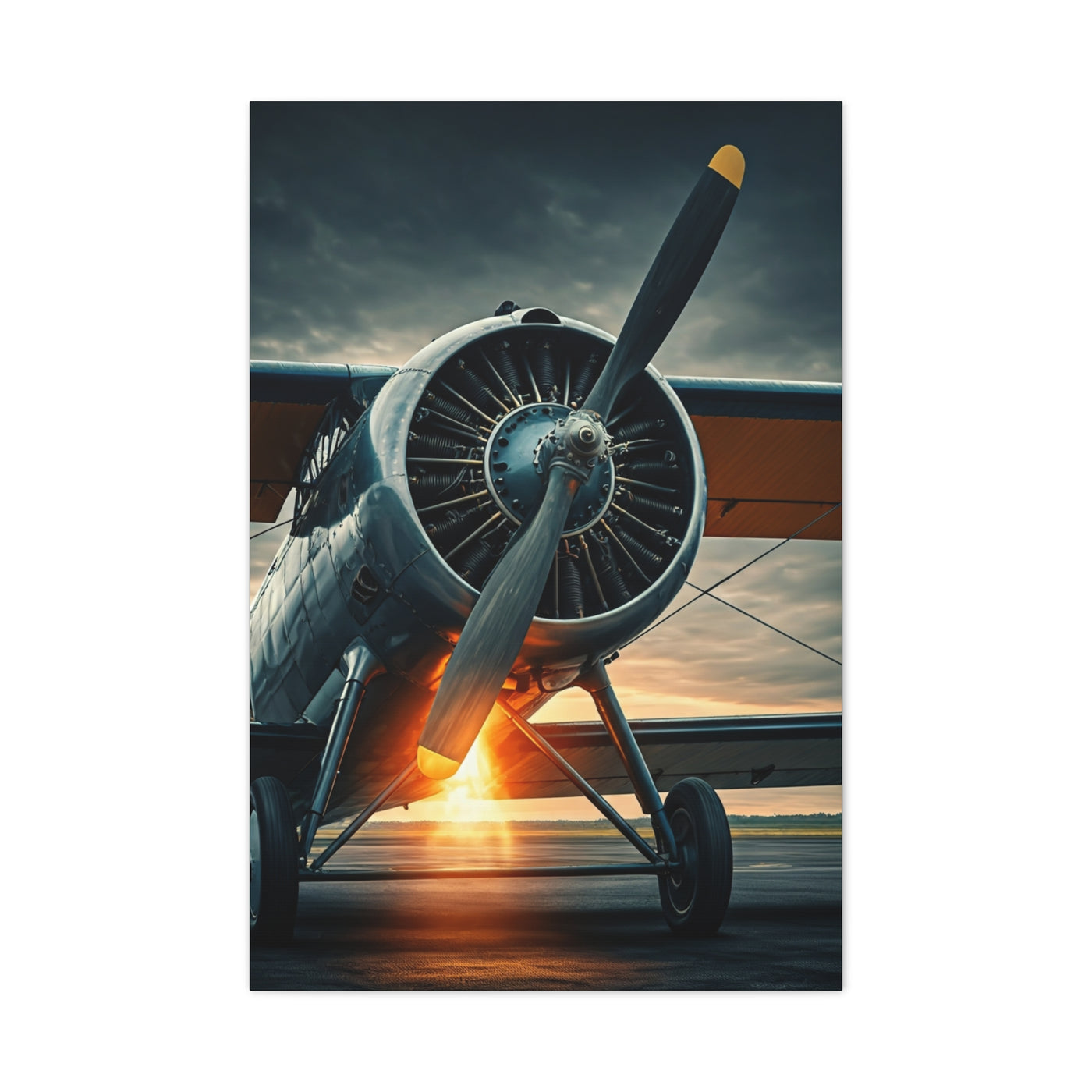 Vintage Prop Engine Close-Up Wall Art & Canvas Prints