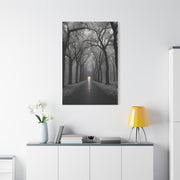 Misty Tree Avenue Monochrome Wall Art & Canvas Print