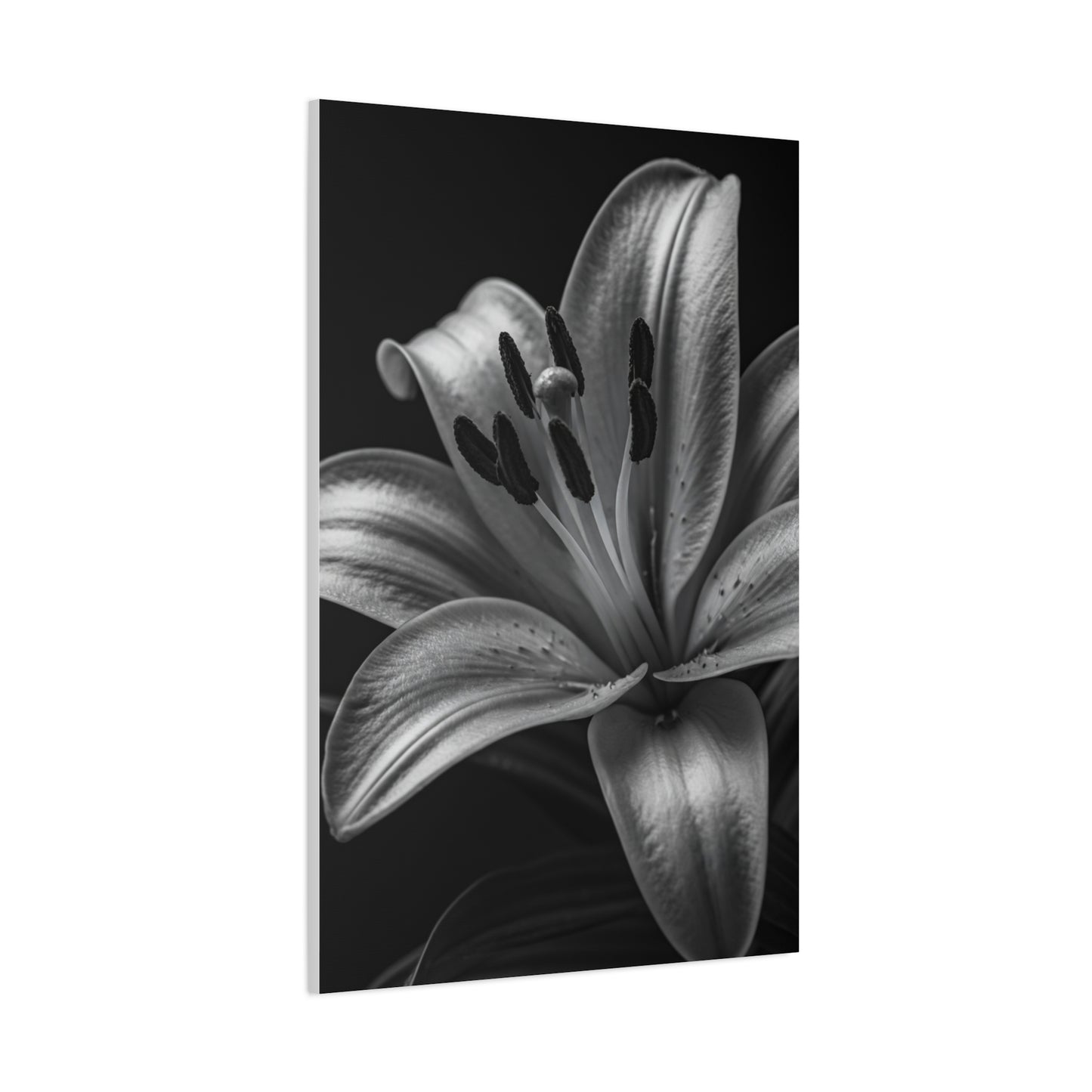 Lavender Silhouette in Low Light Wall Art & Canvas Prints