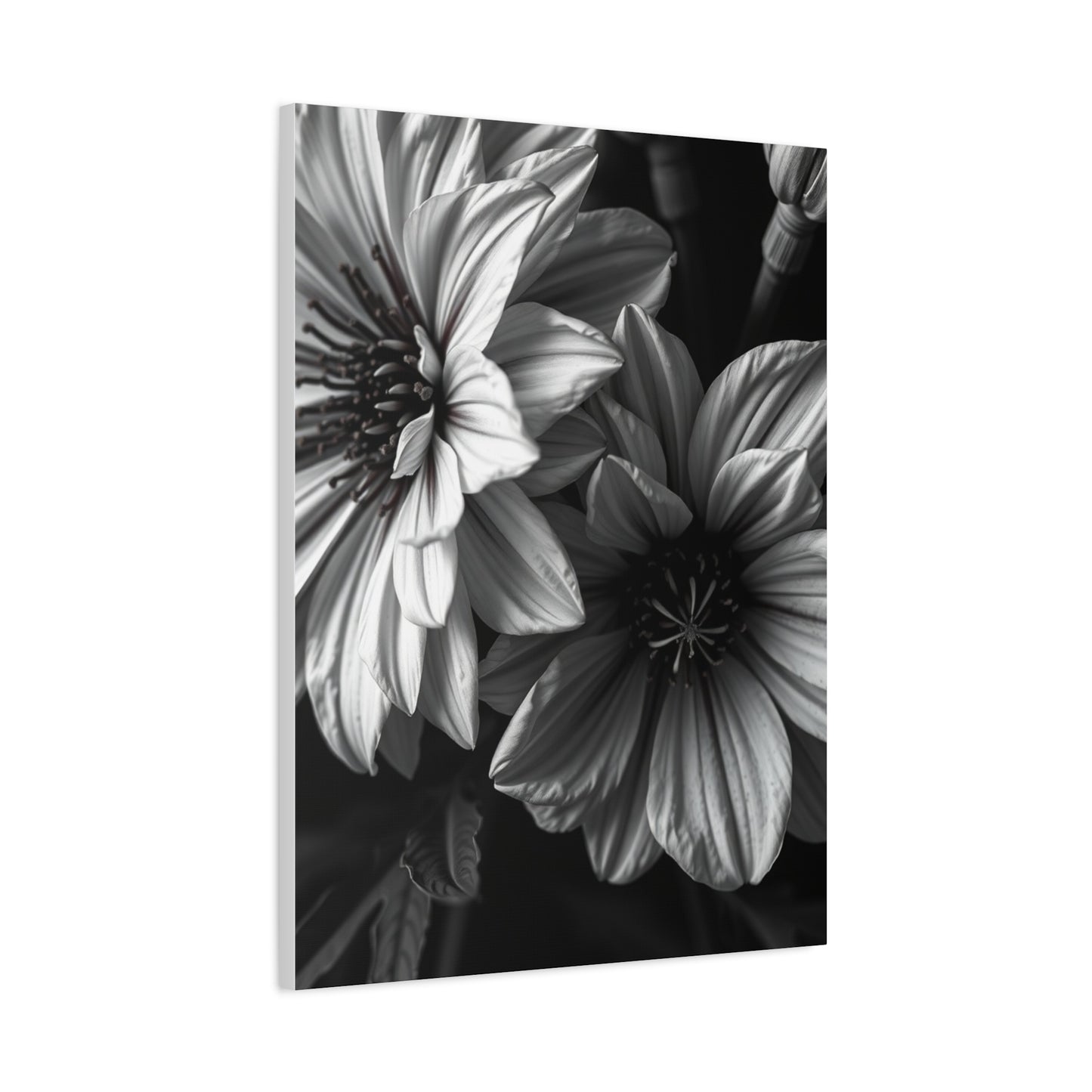 Opulent Petals in Duotone Wall Art & Canvas Print