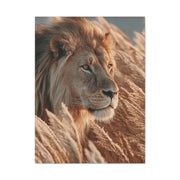 Lion in Golden Grass Calm Watch Wall Art & Canvas Print