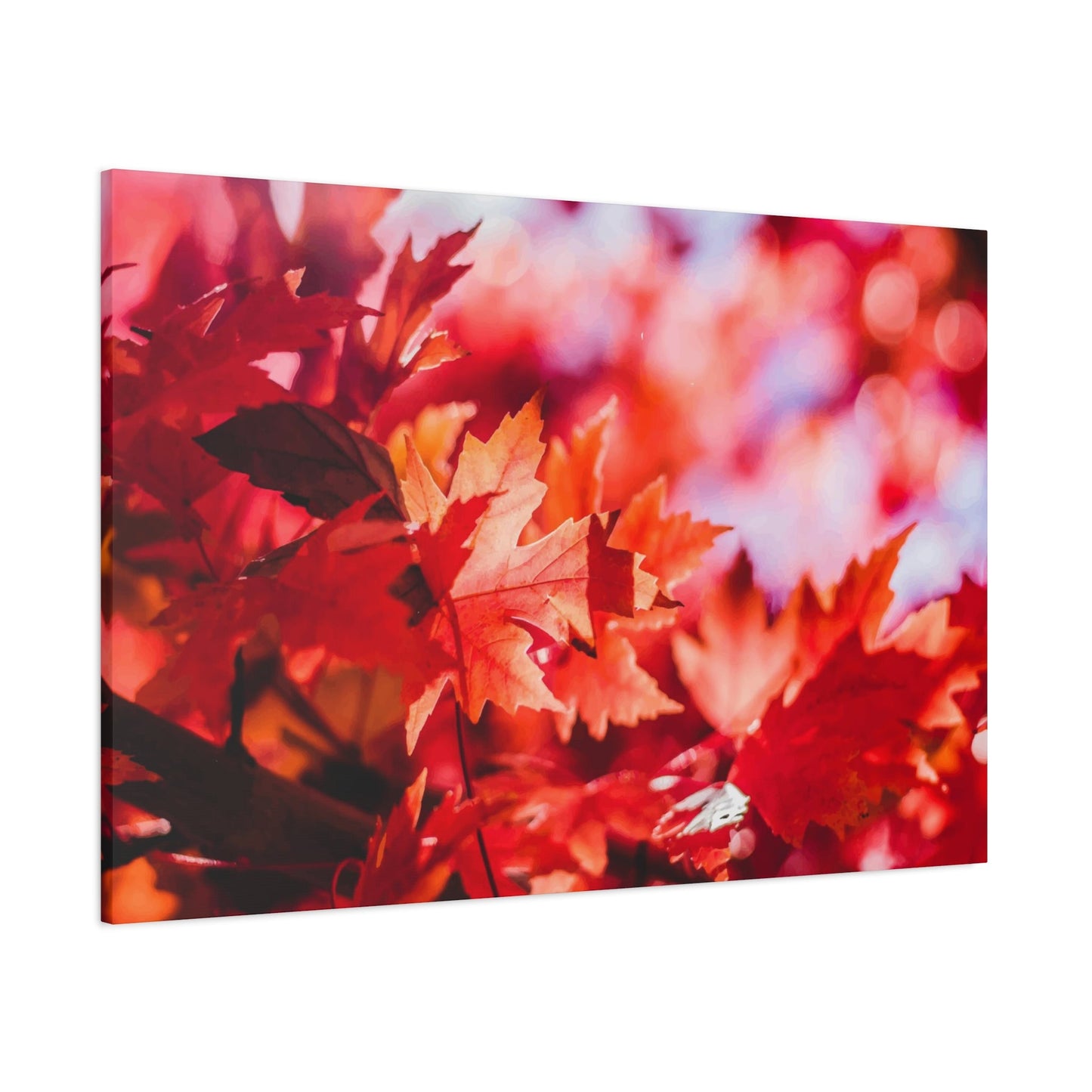 Autumn Flower Wall Art & Canvas Prints