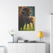 American Bison with Calf in Prairie Light Wall Art & Canvas Print