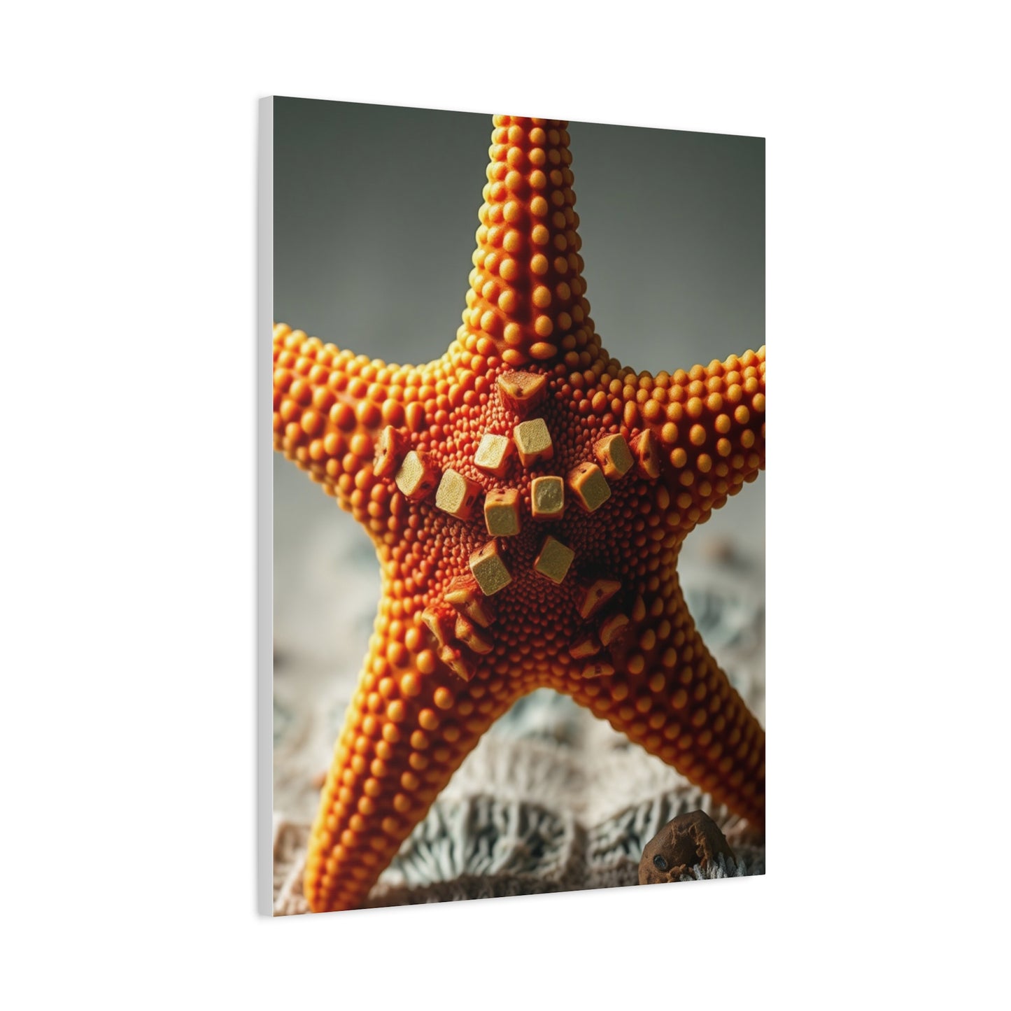 Supreme Starfish Art Beautiful Collection Wall Art & Canvas Print