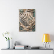 Coastal Shell Relief Composition Wall Art & Canvas Print