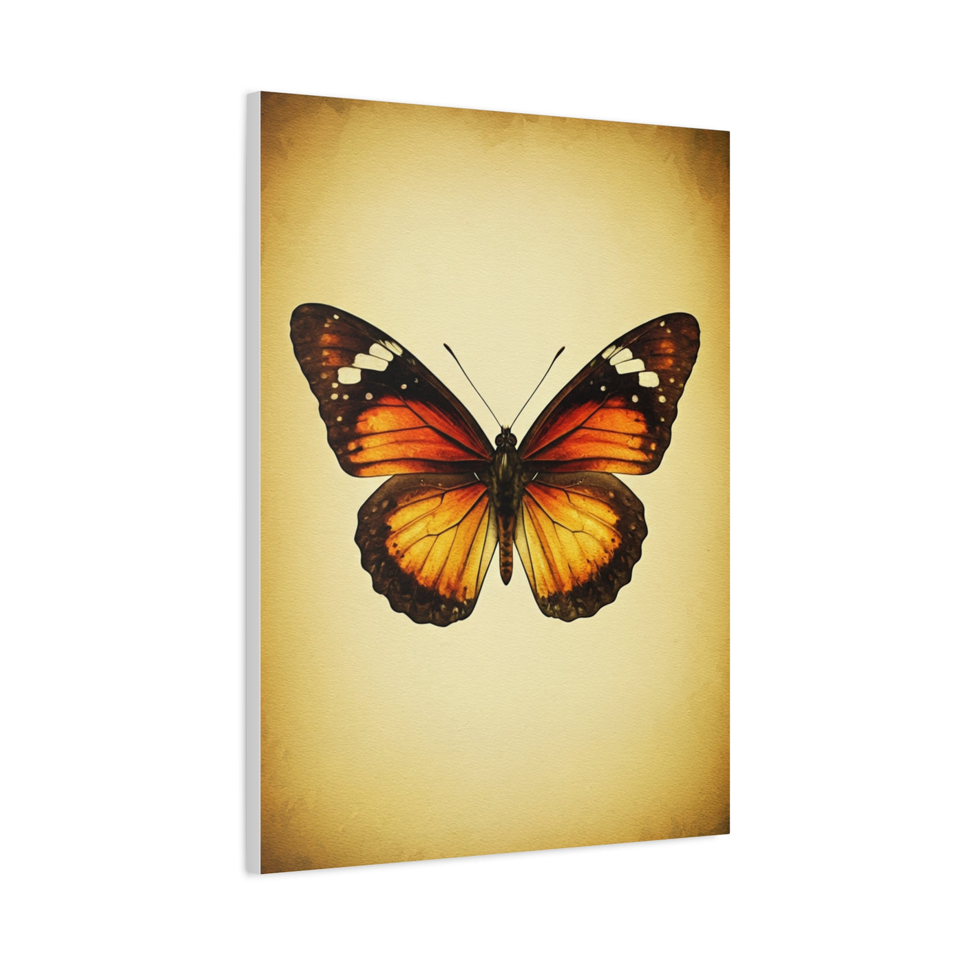 Vintage Monarch Butterfly Illustration Wall Art & Canvas Prints