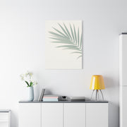 Soft Palm Frond Shadow Minimal Wall Art & Canvas Prints