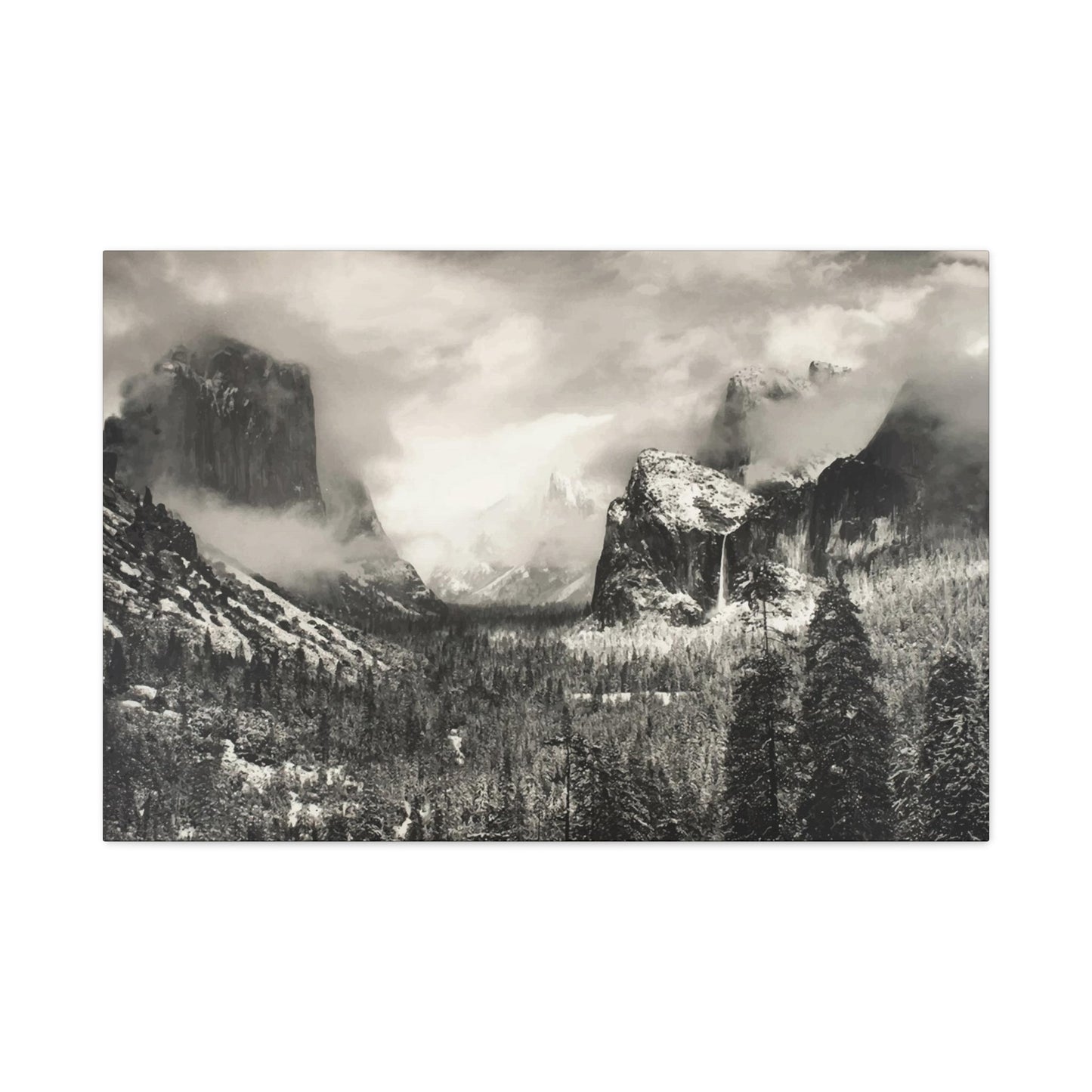 Ansel Wall Art & Canvas Prints
