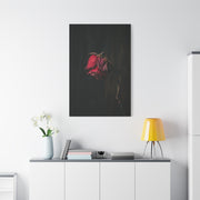 Withered Crimson Rose Still Life Wall Art & Canvas Print