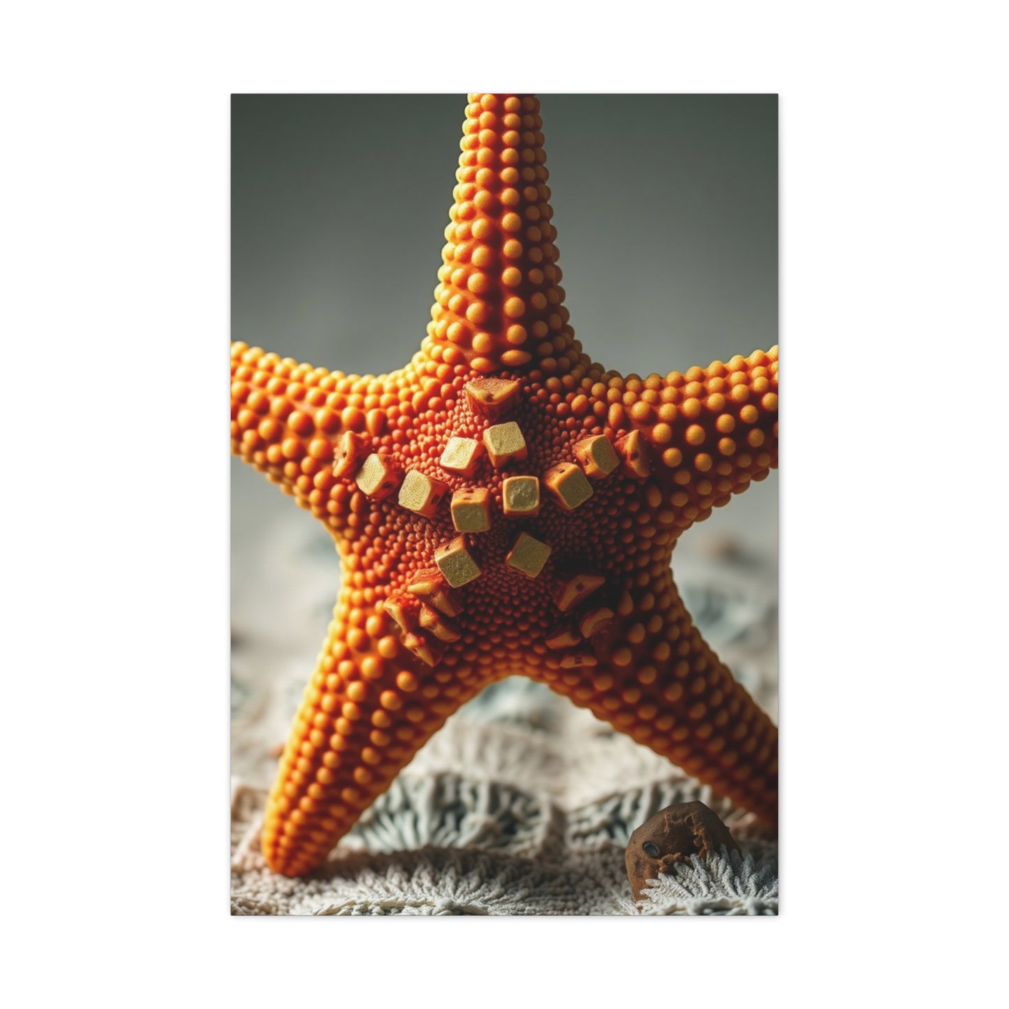 Supreme Starfish Art Beautiful Collection Wall Art & Canvas Print