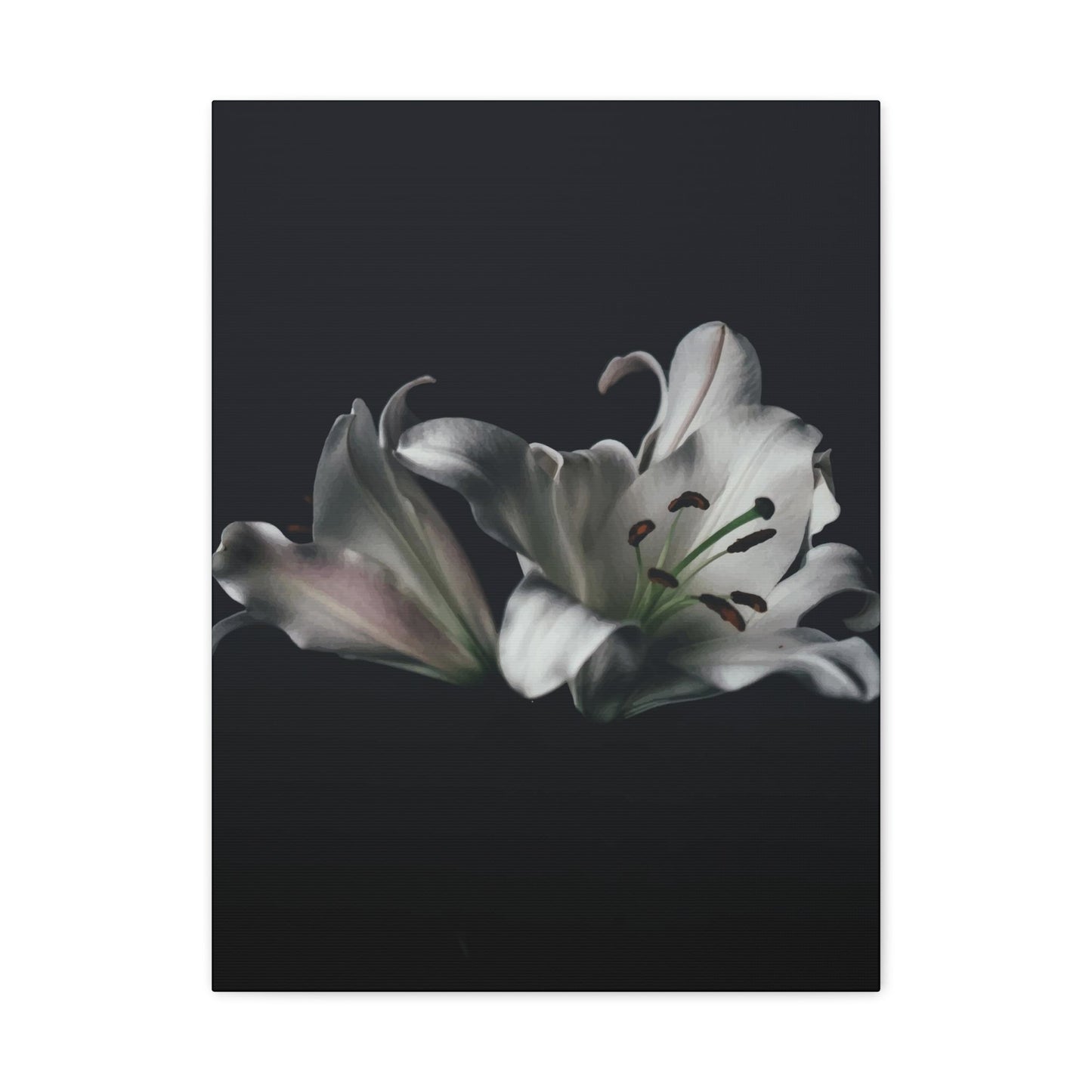 Black Flower Wall Art & Canvas Prints