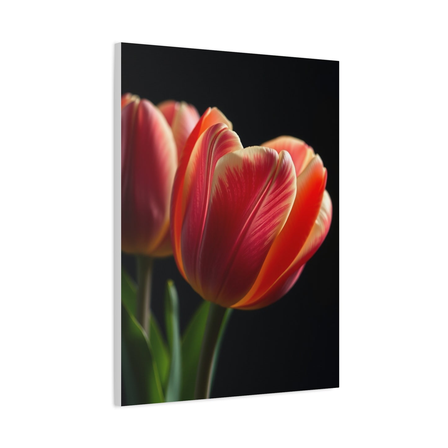 Tulip Flower Art Supreme Canvas Wall Art & Canvas Print