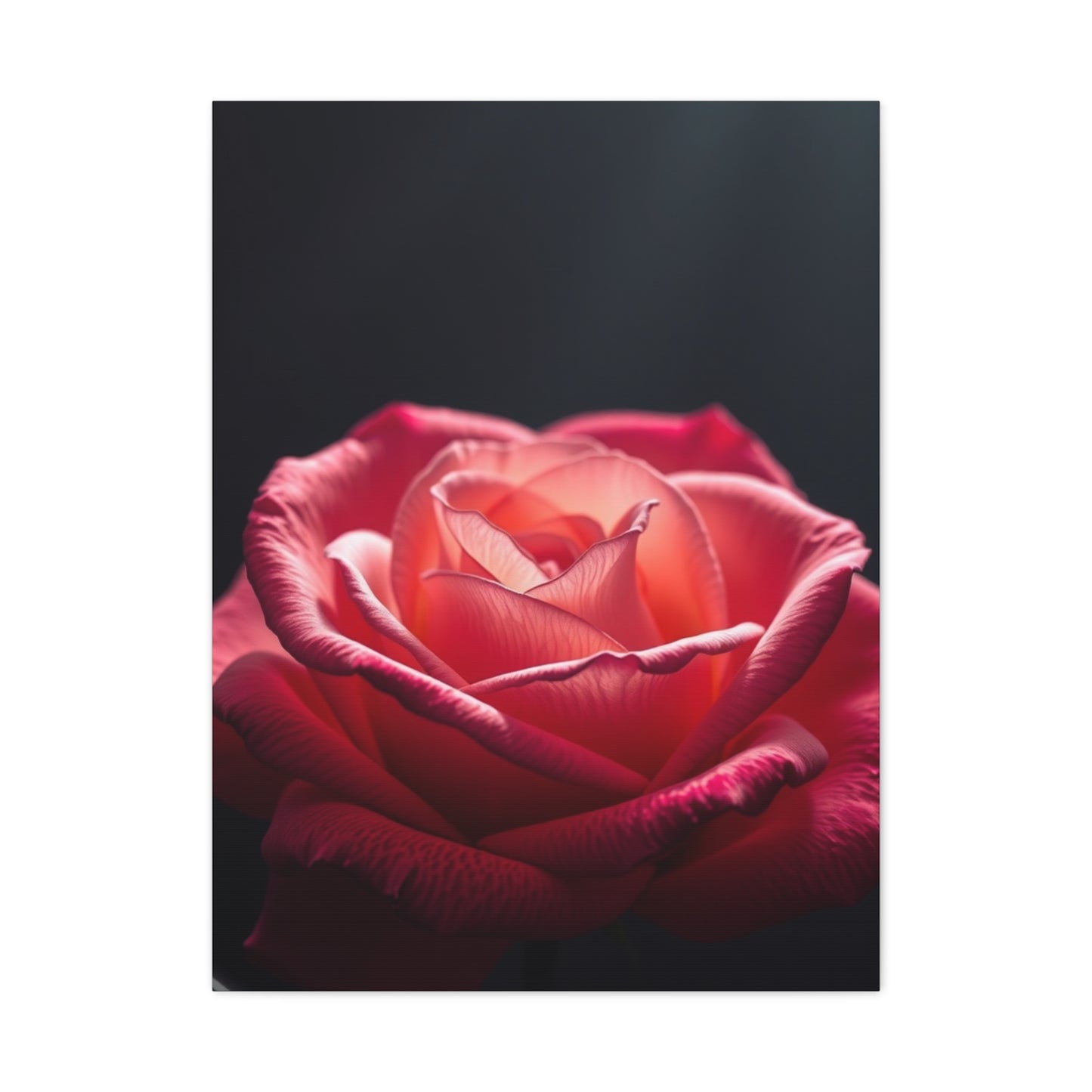 Rose Flower Art Supreme Canvas Wall Art & Canvas Print