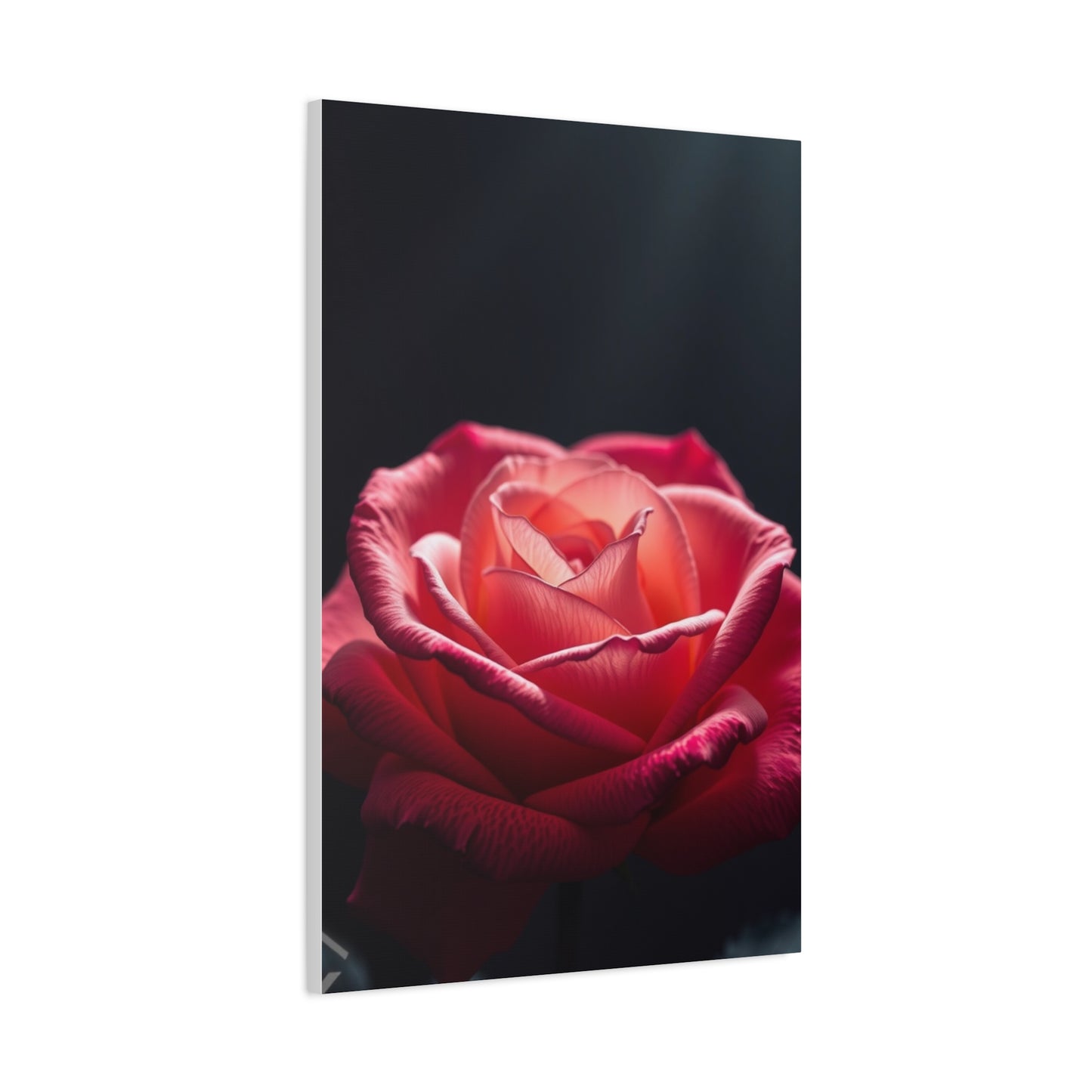 Rose Flower Art Supreme Canvas Wall Art & Canvas Print