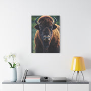Vibrant Prairie Bison with Natural Green Backdrop Wall Art & Canvas Print