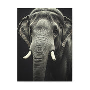 Regal Elephant Close-Up Wall Art & Canvas Prints