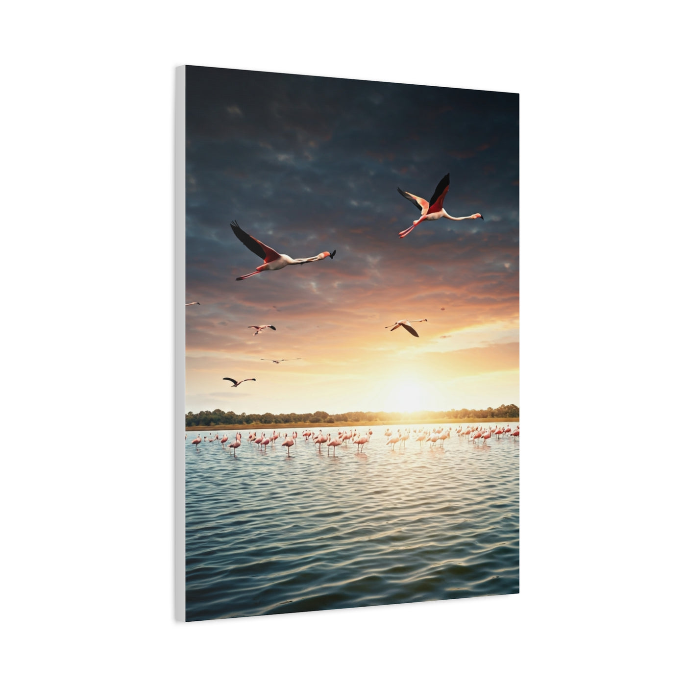 Birds Over Tranquil Ocean Sunrise Wall Art & Canvas Prints