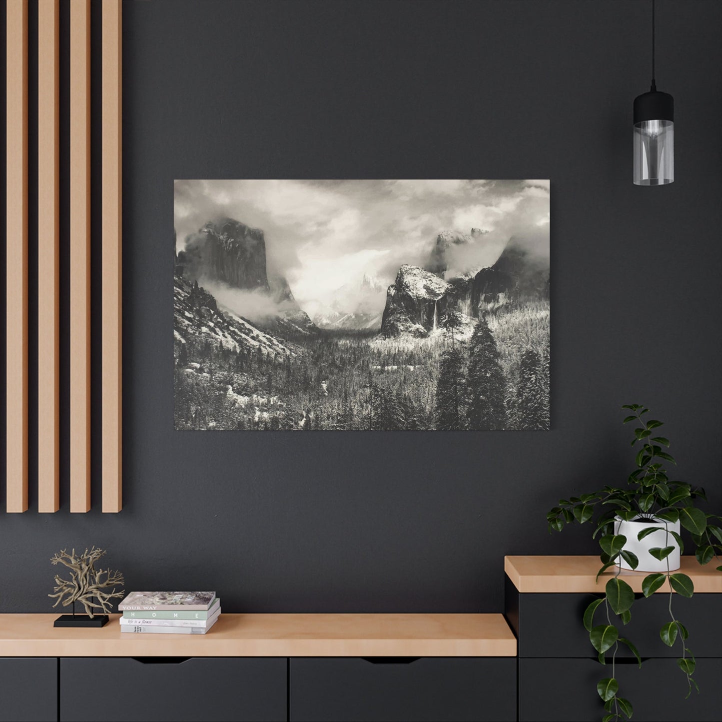 Ansel Wall Art & Canvas Prints