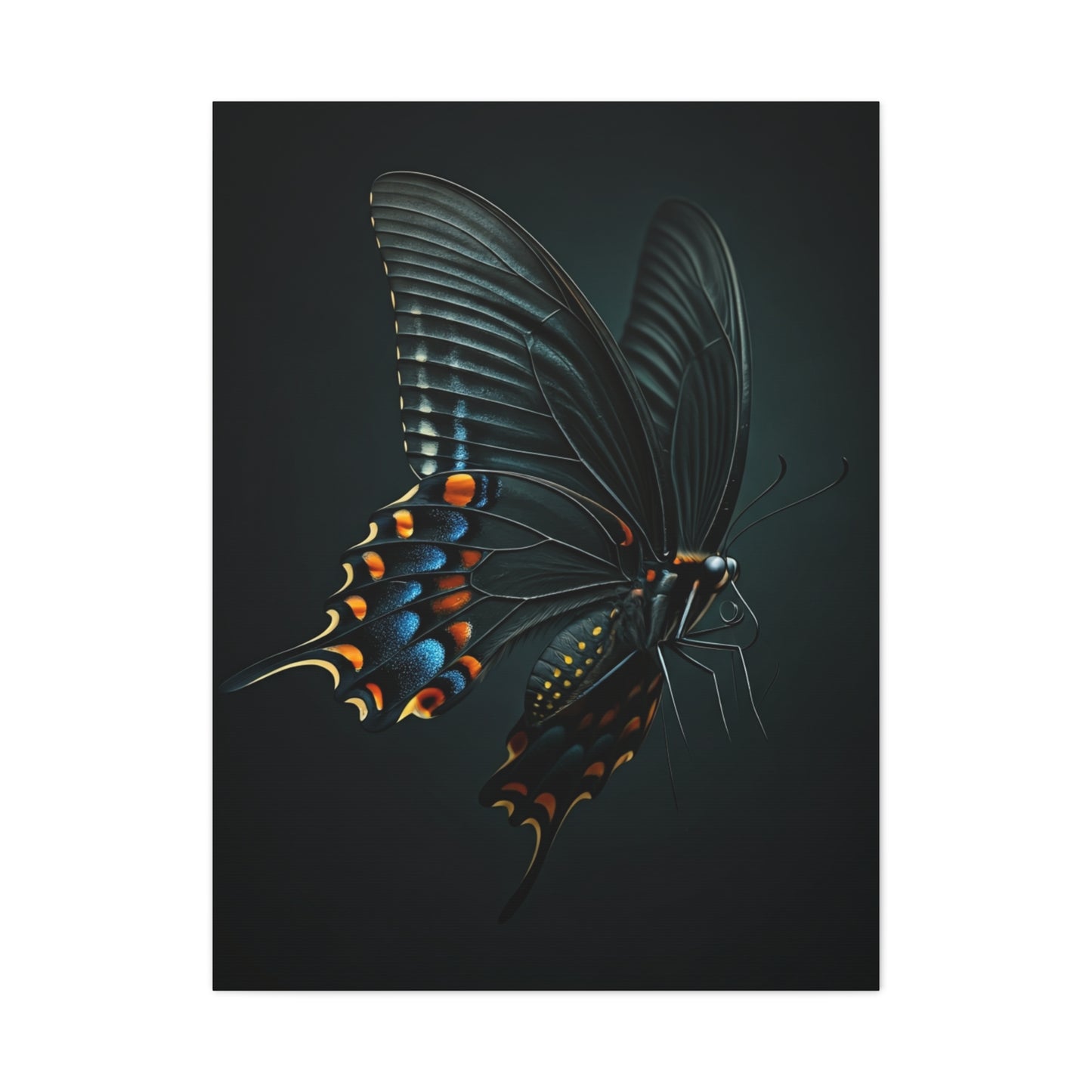 Dark Swallowtail Butterfly in Flight Wall Art & Canvas Prints