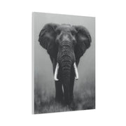 Copy of Sculptural Driftwood Bonsai Wall Art & Canvas Print