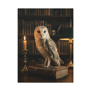 Classic Majestic Barn Owl Library Portrait Wall Art & Canvas Print