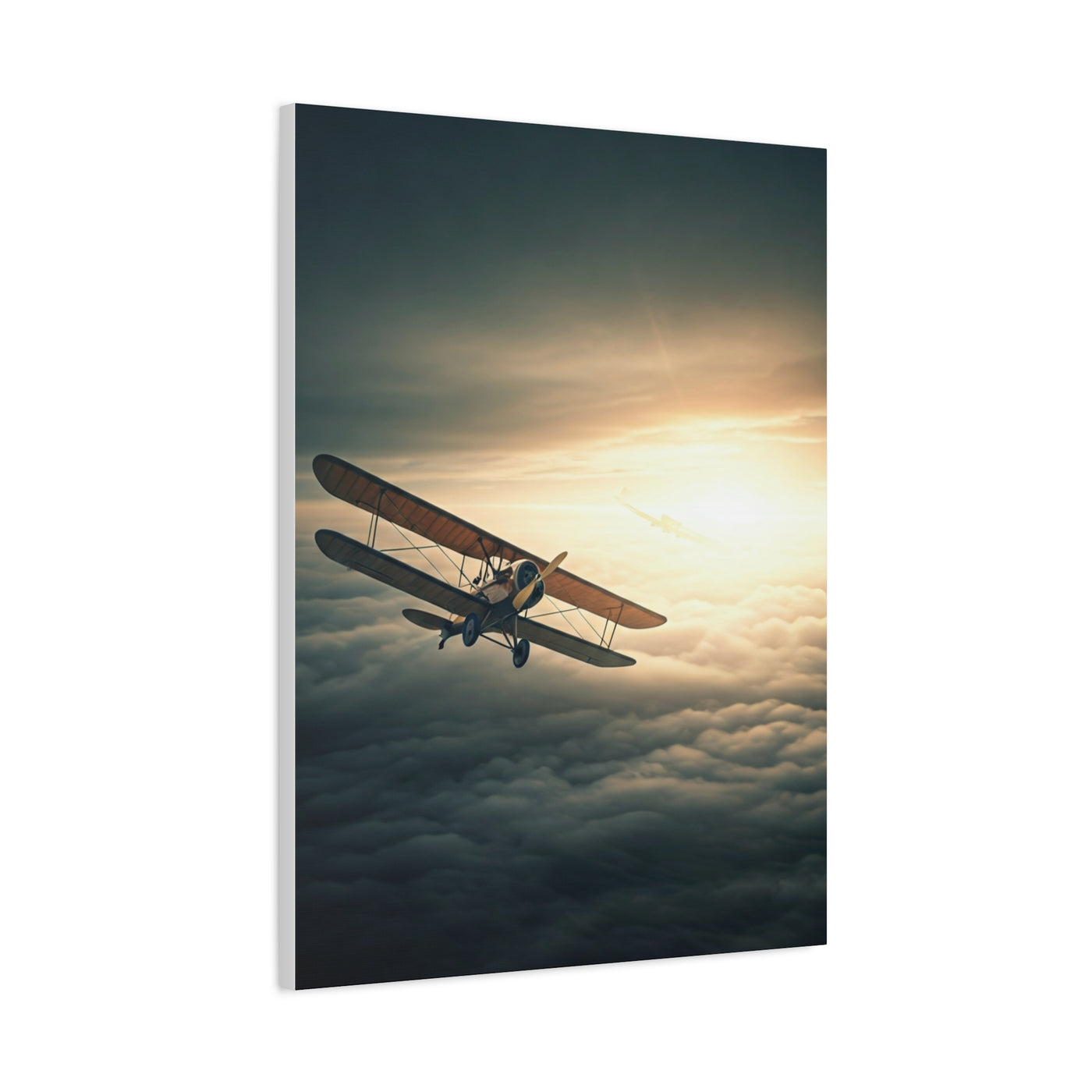Vintage Biplane Into the Light Wall Art & Canvas Prints