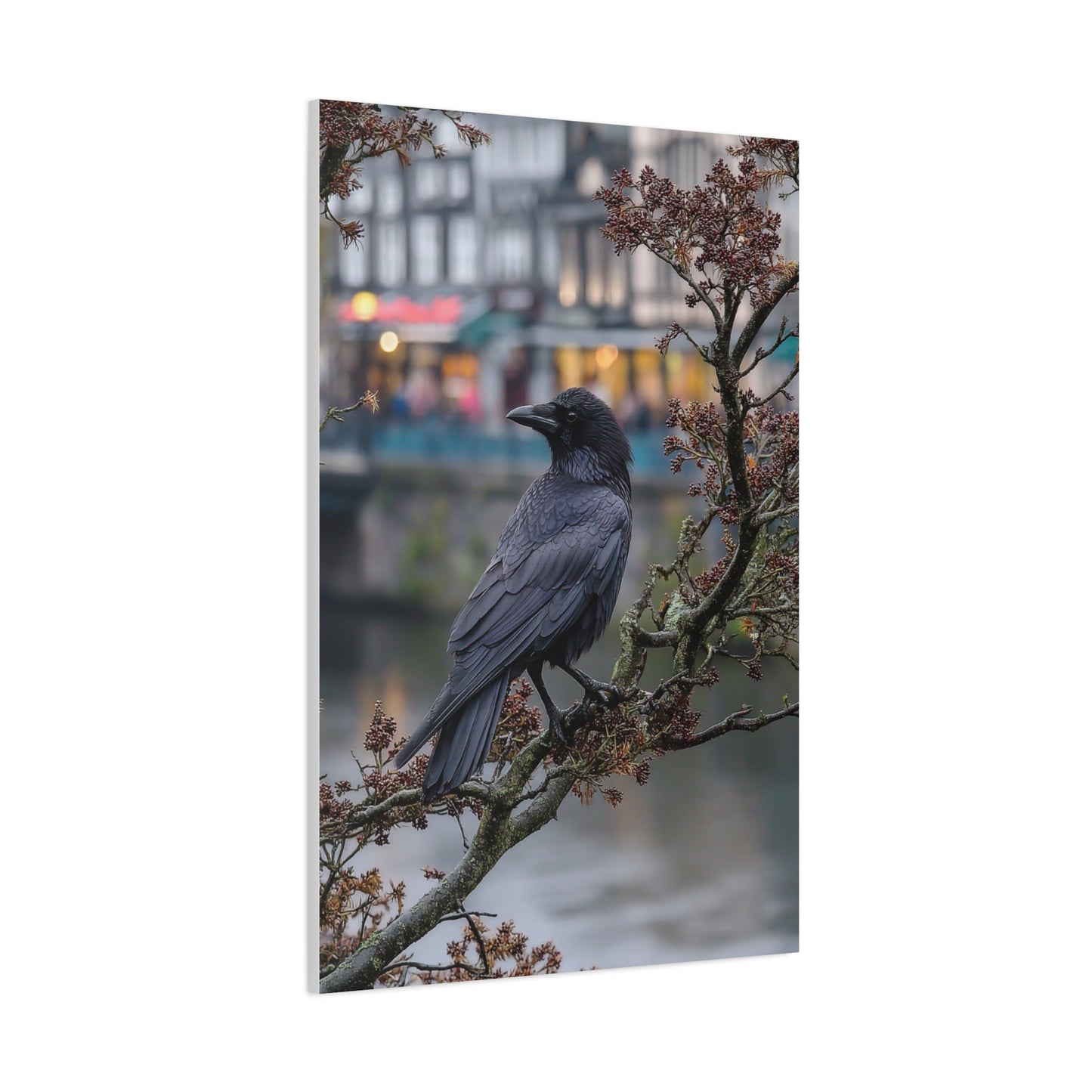 Raven on a Tree Branch Wall Art & Canvas Print