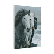 Coastal Wild Horses Storm Run Wall Art & Canvas Print