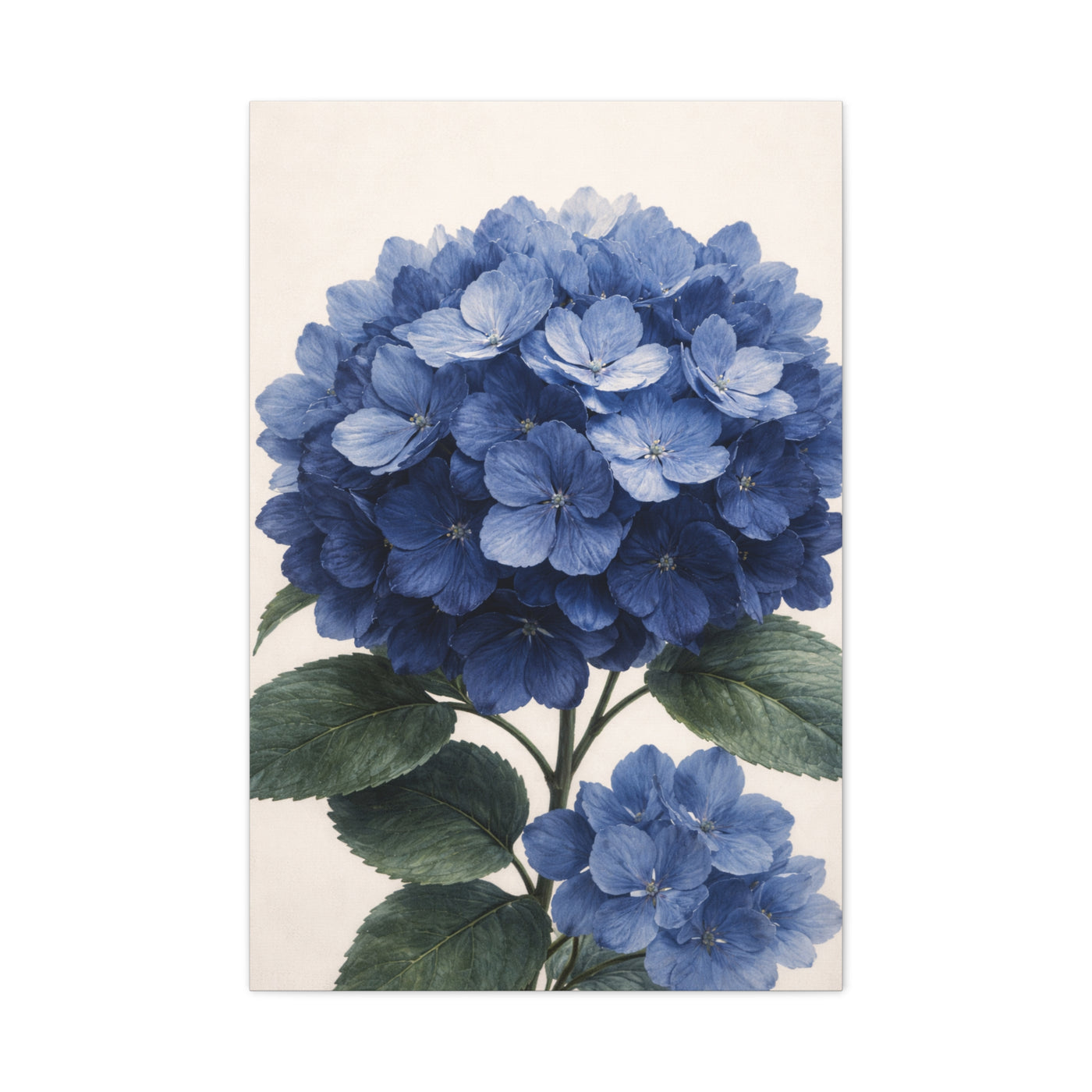 Indigo Hydrangea Bloom Wall Art & Canvas Print