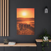 Golden Sunset Cattle Trail Wall Art & Canvas Print