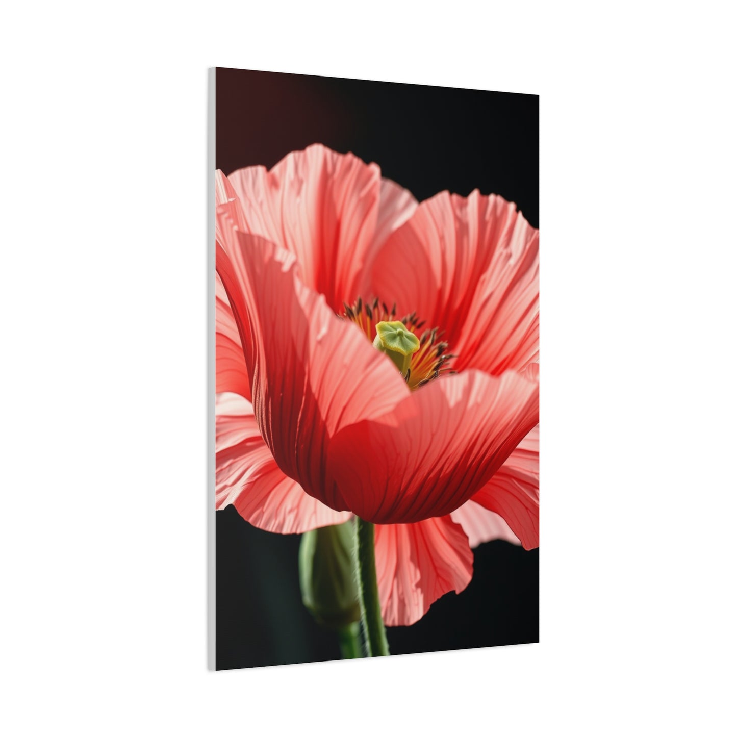 Supreme Poppy Flower Art Beautiful Collection Wall Art & Canvas Print