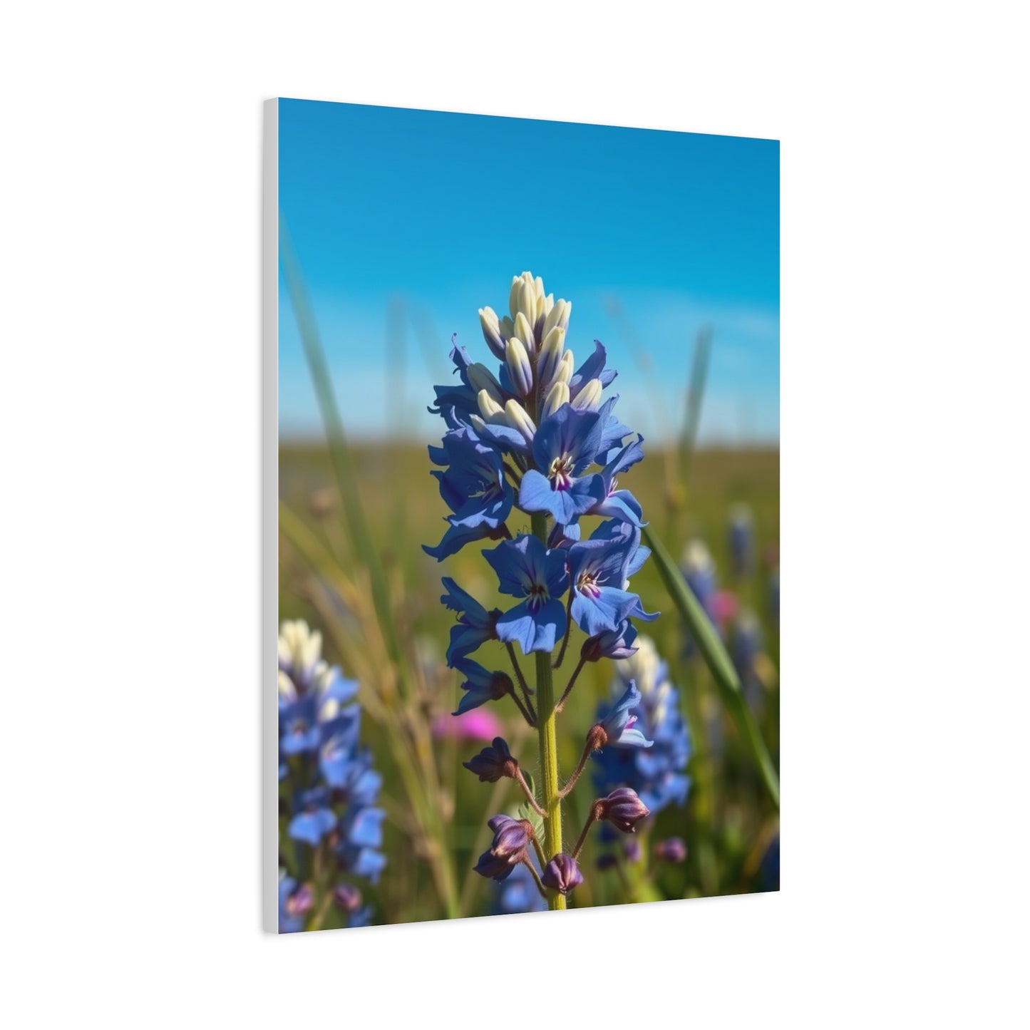 Bluebonnet Flower Art Premium Gallery Wall Art & Canvas Print